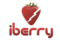 iBerry logo iBerry logo