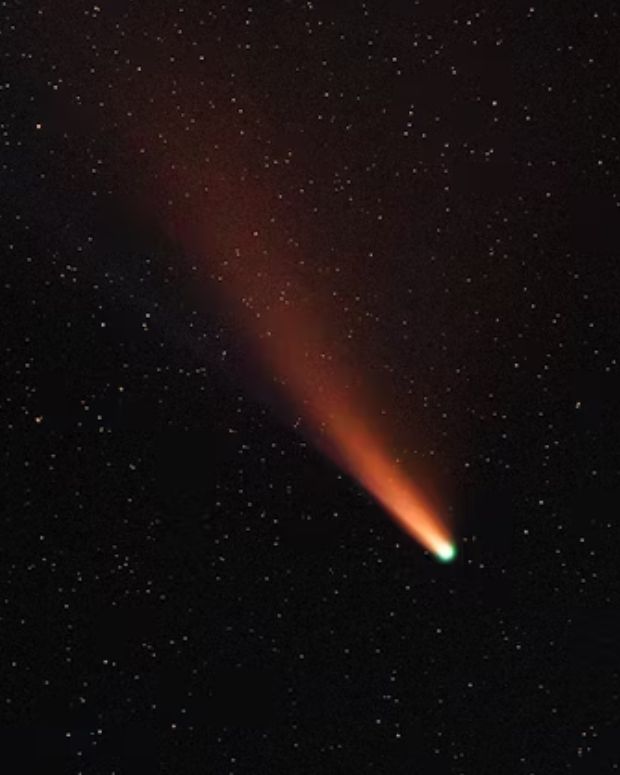 Shared Characteristics