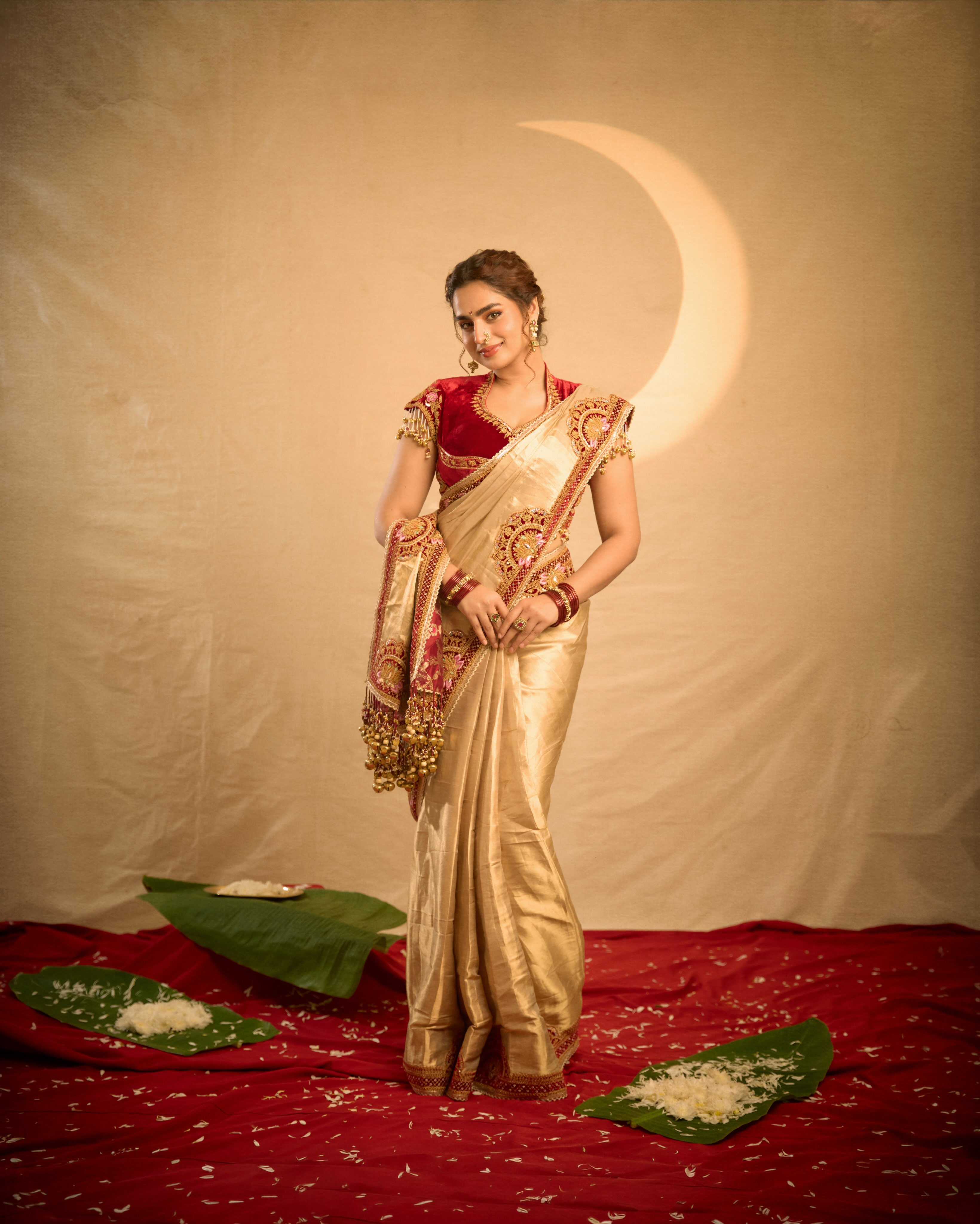 Ayesha Khan's Regal Saree Moment