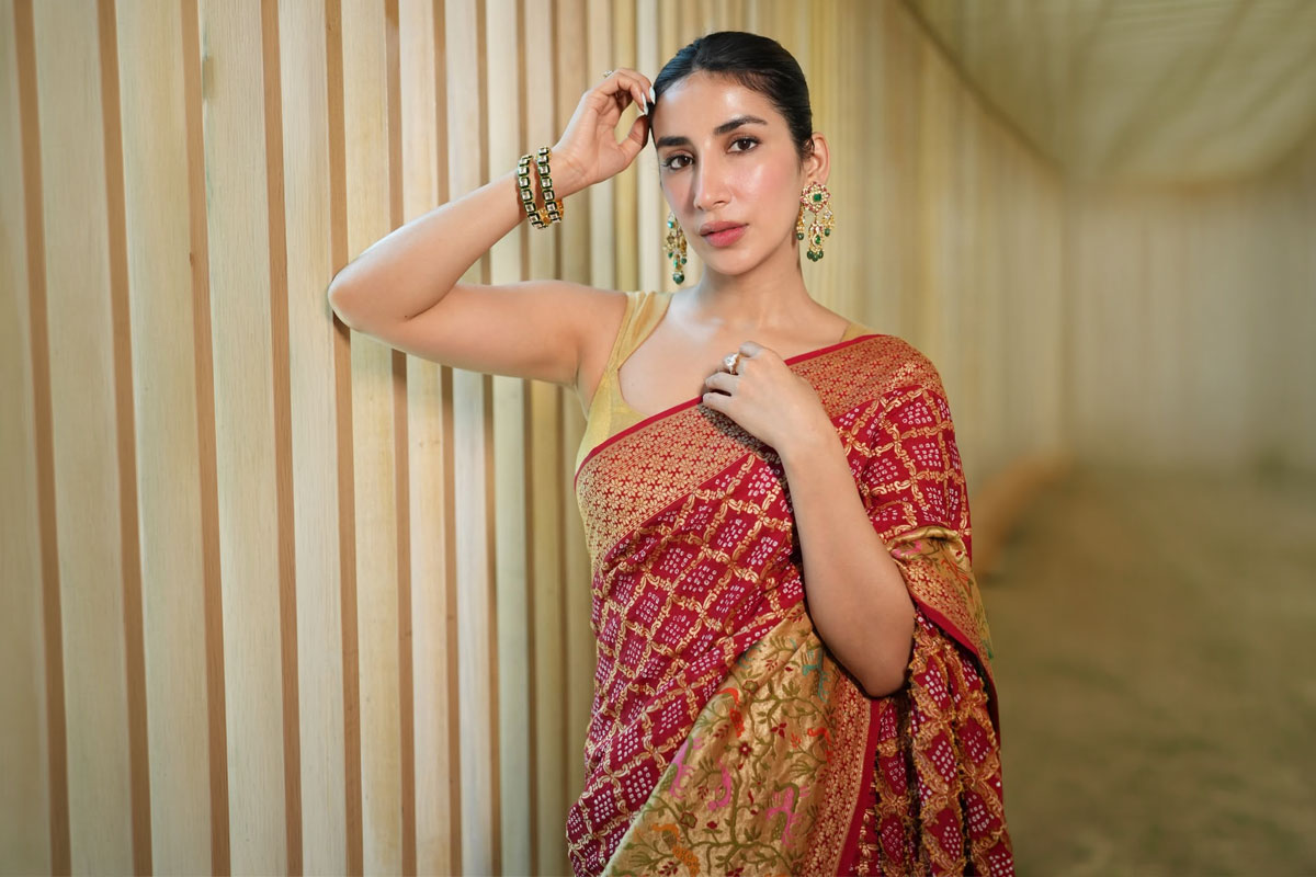 Parul Gulati Sets Ethnic Fashion in Saree